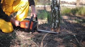 Best Commercial Tree Services  in Fort Pierre, SD